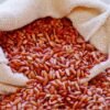 Lançada primeira cultivar de arroz vermelho desenvolvida no Brasil