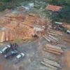 PF deflagra operação para combater extração ilegal de madeira no Maranhão