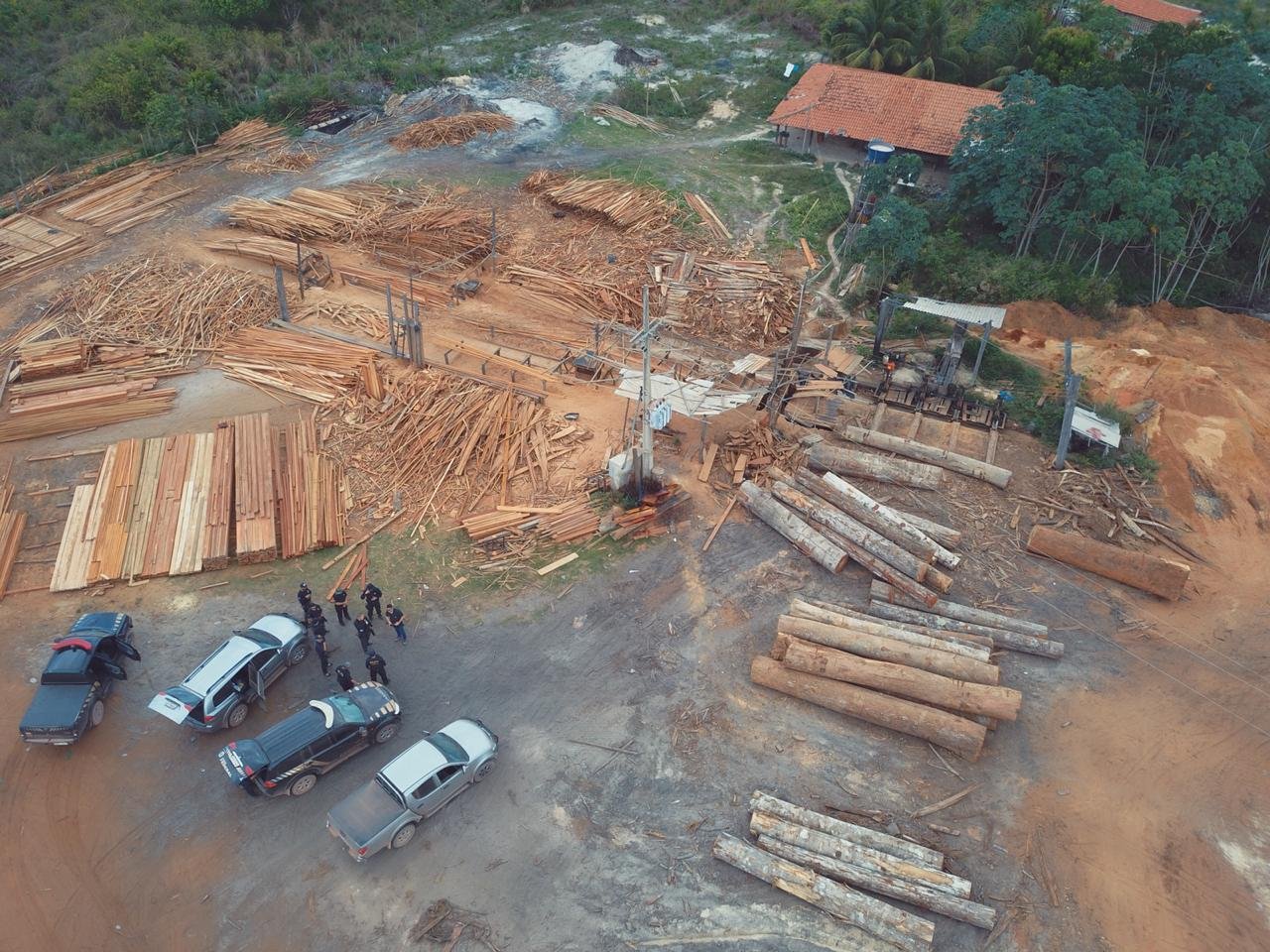 PF deflagra operação para combater extração ilegal de madeira no Maranhão