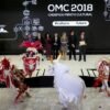Temer entrega título a 35 pessoas e entidades por ações culturais