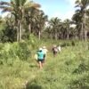 Maranhão obteve a quinta pior avaliação de transparência em informações sobre terras públicas ainda sem título de posse