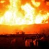 66 PESSOAS MORREM EM EXPLOSÃO DE OLEODUTO NO MÉXICO