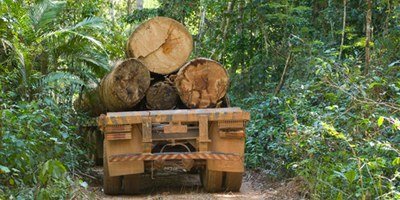 Policiais rodoviários federais são envolvidos no transporte ilegal de madeiras no Maranhão