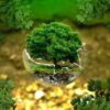 Deputados divergem sobre rumos da política ambiental brasileira