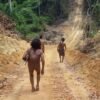 Policiais militares vão reforçar segurança em terra indígena no Maranhão