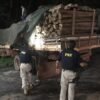 Carrada de madeira é apreendida em Santa Inés