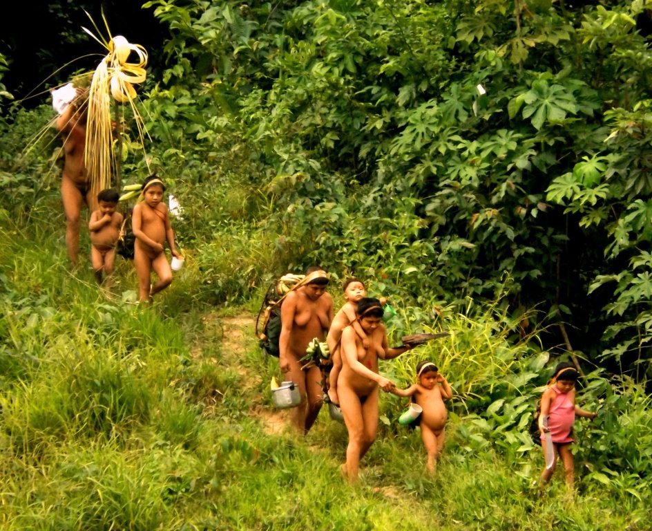 Funai promove expedição para proteção e monitoramento de indígenas isolados
