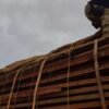PRF apreende 20,28 m³ de madeira ilegal em Altamira