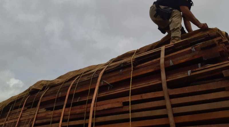 PRF apreende 20,28 m³ de madeira ilegal em Altamira
