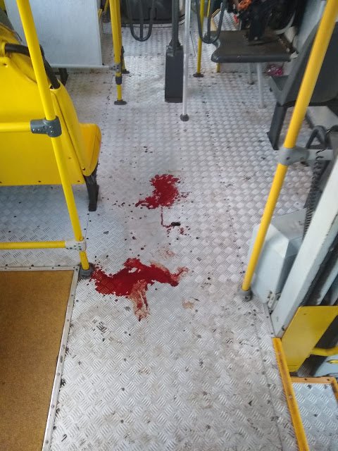 Bandidos fazem arrastão durante assalto a ônibus na Avenida dos Franceses em São Luís