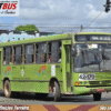 Empresa de ônibus é condenada a indenizar família de idoso