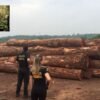 Polícia Federal deflagra Operação KHIZI para combater extração ilegal de madeira na Bahia, Ceará, Maranhão, Pará, Piauí e Rio Grande do Norte