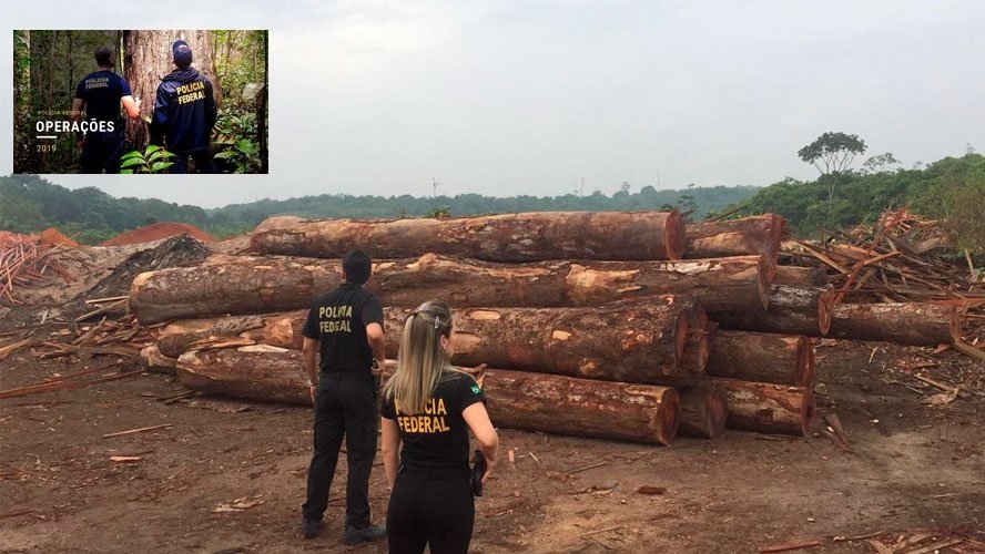 Polícia Federal deflagra Operação KHIZI para combater extração ilegal de madeira na Bahia, Ceará, Maranhão, Pará, Piauí e Rio Grande do Norte