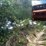 POLÍCIA MILITAR FRUSTRA ROUBO DE CAMINHÃO E RECUPERA CARGA DE BOTIJÕES DE GÁS Em São Luis