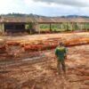 IBAMA apreende mais de 2 mil metros cúbicos de madeira ilegal na Rodovia Transamazônica