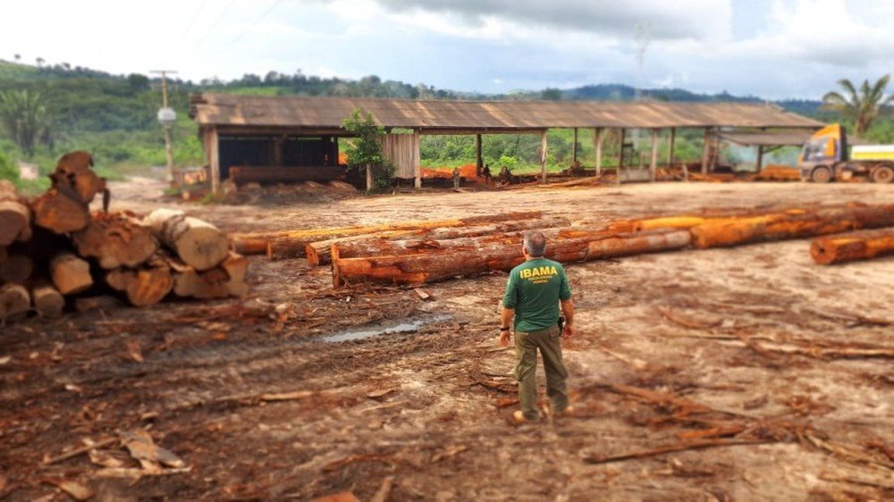 IBAMA apreende mais de 2 mil metros cúbicos de madeira ilegal na Rodovia Transamazônica