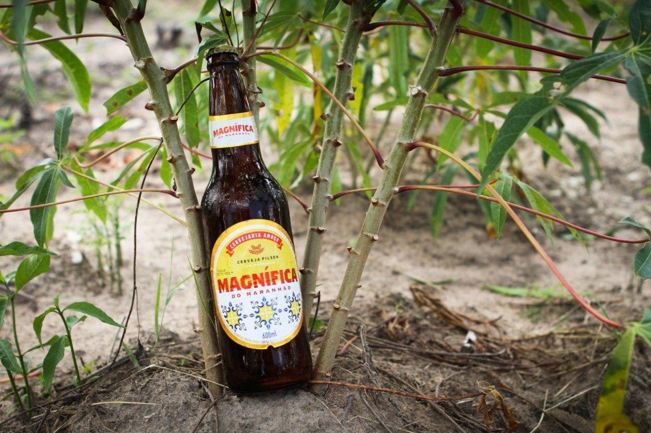 Associação Brasileira de Bebidas (Abrabe) questiona lei do Maranhão que reduz ICMS para cerveja de mandioca