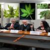 Maconha medicinal coloca governo e famílias de pacientes em lados opostos