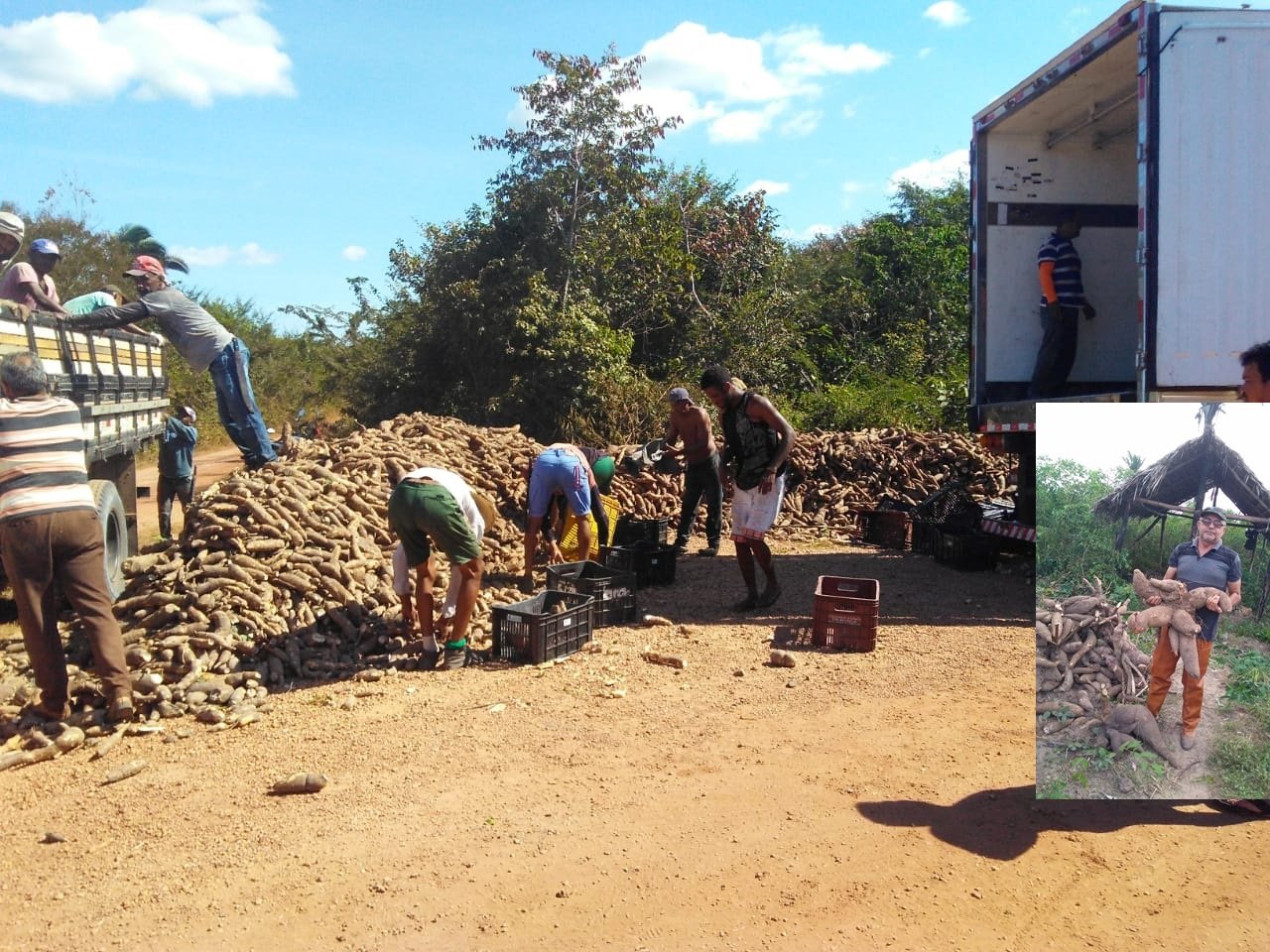 A Cooperativa Mista de Gonçalves Dias em parceria com a AMBEV, está mudando a vida do  produtor rural da região central do MA