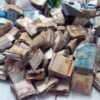 A Polícia Civil encontra mais de 100  mil reais enterrado em uma casa em Coroatá MA