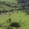 Teve inicio hoje 12/08, prazo para entrega da declaração de propriedade rural