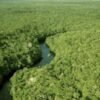“Ongs e suas maracutaias” ONGs receberam milhões para fazer o que já é feito por INPE e Defesa