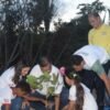 Governo prepara programação para celebrar Dia da Árvore em São Luís