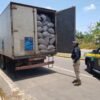 PRF apreende 30 m³ de carvão produzido em desmatamento ilegal no MA