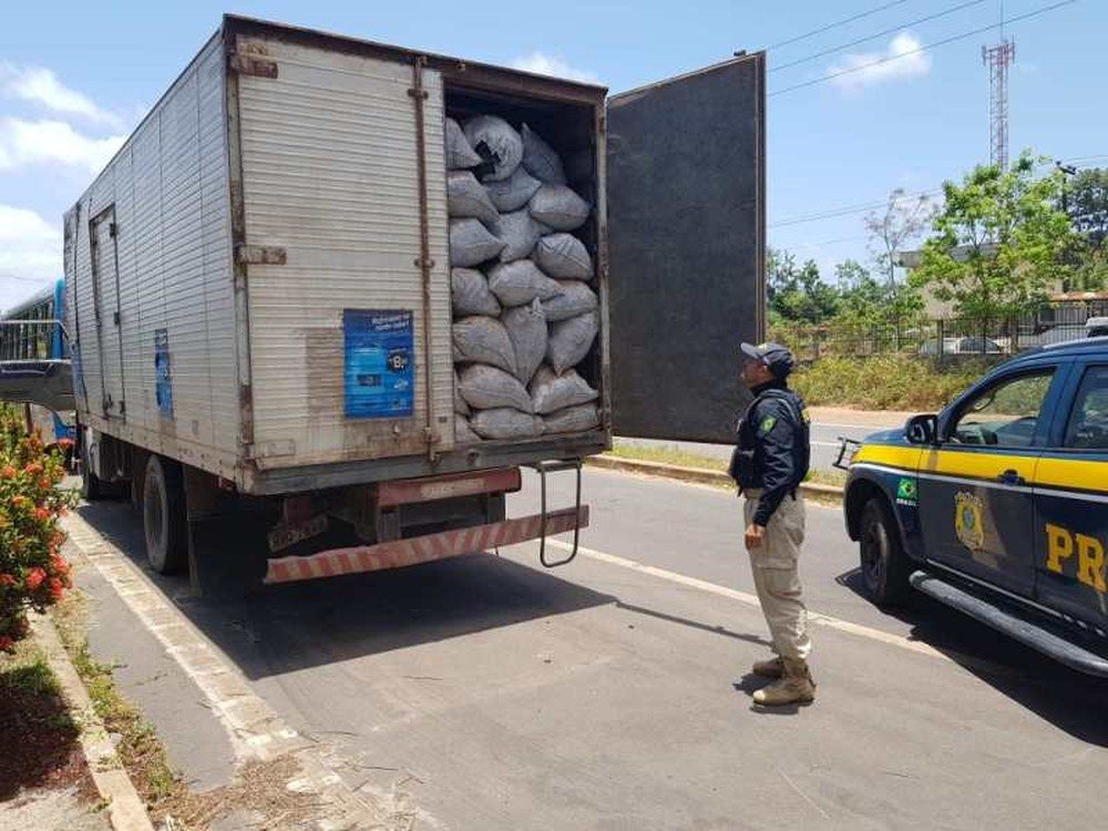 PRF apreende 30 m³ de carvão produzido em desmatamento ilegal no MA