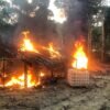 Exército prende garimpeiros em unidades de conservação do Amazonas