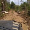 PF prende madeireiros suspeitos de desmatar reserva indígena entre Amarante e  Arame MA