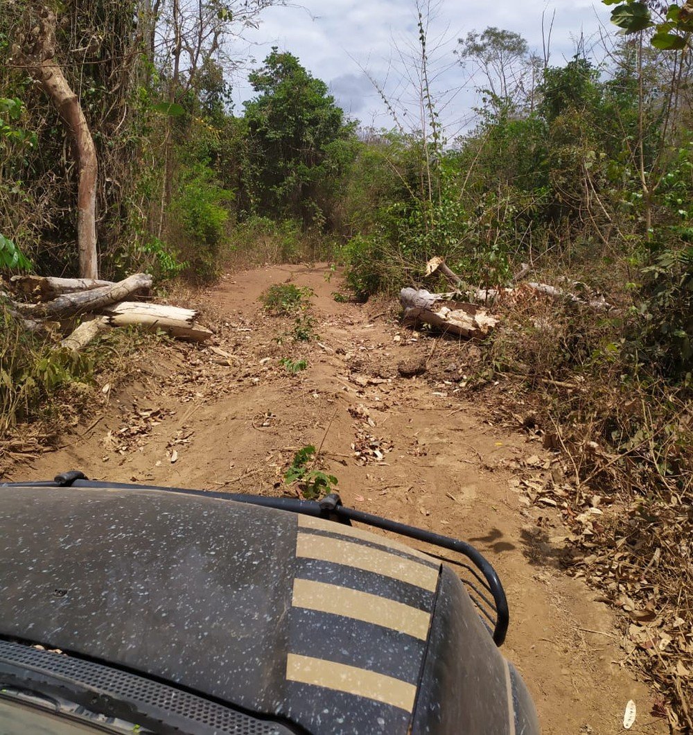 PF prende madeireiros suspeitos de desmatar reserva indígena entre Amarante e  Arame MA