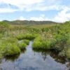 Prazo para entrega do Ato Declaratório Ambiental é prorrogado até 31/10