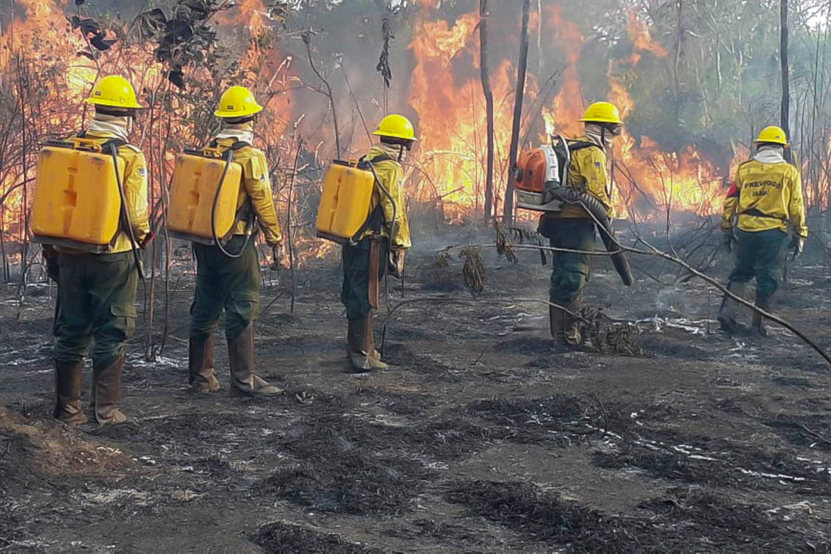 Ibama combate incêndios florestais no Maranhão com cerca de 230 brigadistas