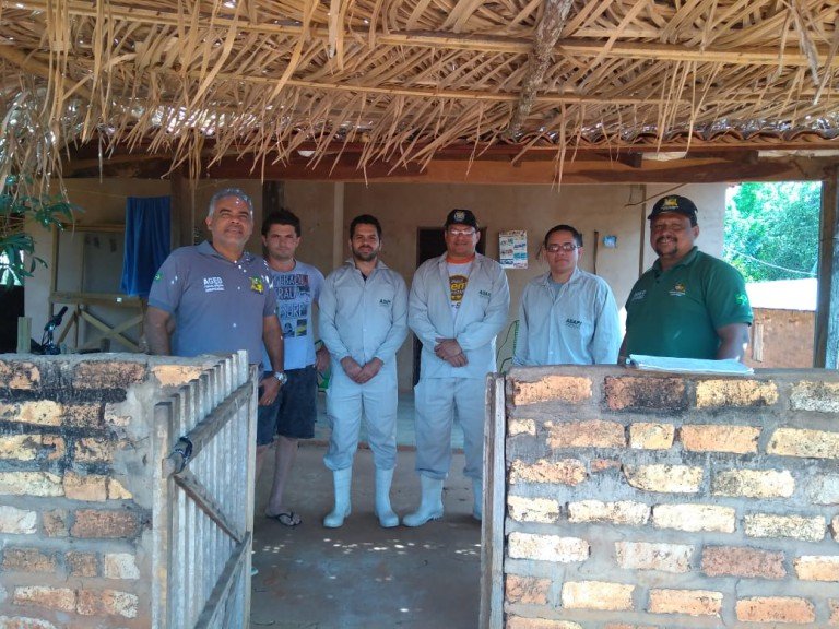 Agência de Defesa Agropecuária do Maranhão (AGED) inspeciona cultivos de banana com focos de praga Sigatoka Negra