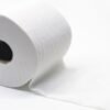 Projeto torna obrigatório papel higiênico hidrossolúvel ou ducha higiênica