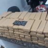 PM apreende 100 quilos de maconha que seriam distribuídos em Teresina e Timon