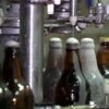 Ministério da agricultura identifica mais 10 lotes de cerveja contaminada