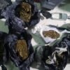POLÍCIA MILITAR PRENDE SUSPEITOS DE ROUBAR MOTOCICLETAS E ENVOLVIMENTO COM TRÁFICO DE DROGAS EM IMPERATRIZ