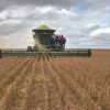 Maranhão plantou mais de 1 milhão de hectares de soja na safra 2019/20