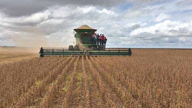 Maranhão plantou mais de 1 milhão de hectares de soja na safra 2019/20