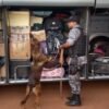 POLÍCIA MILITAR REALIZA OPERAÇÃO DE COMBATE AO TRÁFICO DE DROGAS EM ESTREITO E REGIÃO