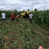 Avião monomotor faz pouso de emergência em uma roça de milho, na cidade de Governador Eugênio Barros