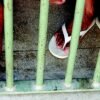 Polícia recaptura 517 presos que fugiram de três presídios paulistas