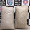 POLÍCIA MILITAR APREENDE 20 KG DE MACONHA EM SANTA INÊS
