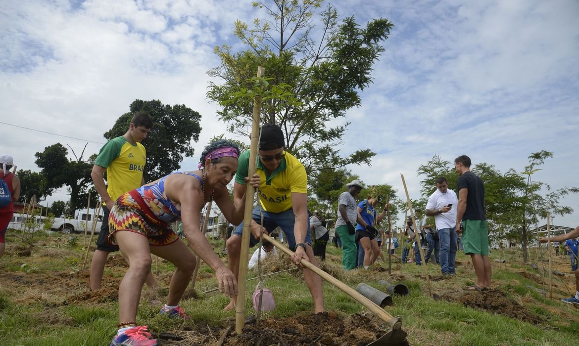 MMA lança programa para impulsionar renda de quem protege as florestas