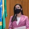 Daniella Tema anuncia retomada dos trabalhos da Frente Parlamentar de Combate ao Feminicídio