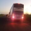 Búfalos causam acidentes com caminhão e ônibus na madrugada deste sábado (9) no Campo de Peris