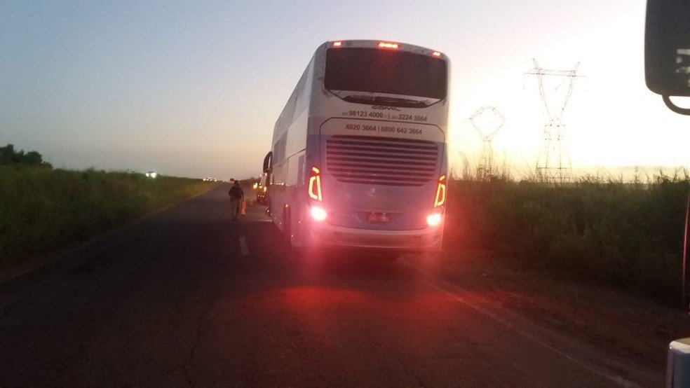 Búfalos causam acidentes com caminhão e ônibus na madrugada deste sábado (9) no Campo de Peris