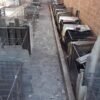 Polícia localiza rinha com mais de 120 galos de briga na cidade de Timon